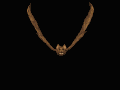 Bat