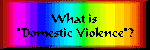 What is Domestic Violence?