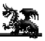 Black Dragon