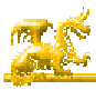 Yellow Dragon