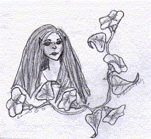 Half-Elf