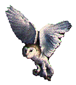 This image is originally from Midnight's Attic, which no longer seems to be on the Net.