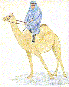 Caravaneer